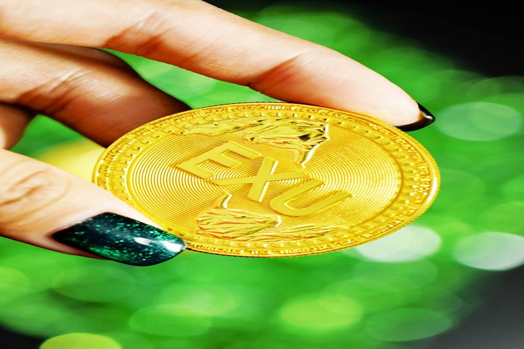 Will XRP Follow Bitcoin to New Heights? Potential Value of $1,000 in XRP if Bitcoin Reaches $250,000 as Predicted by Cardano's Hoskinson